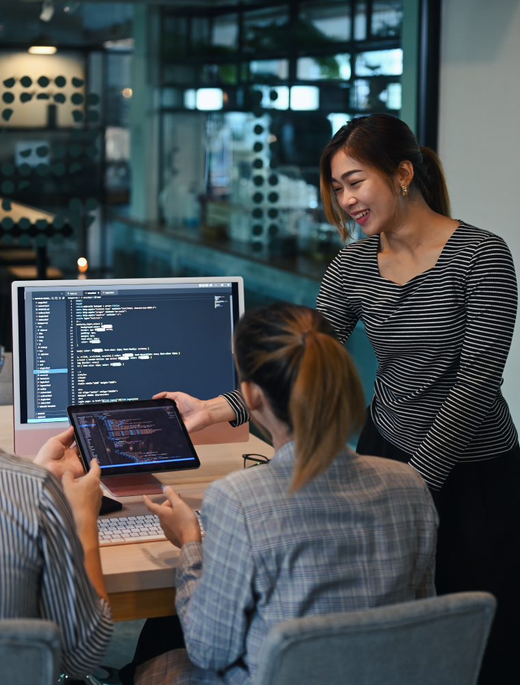 San Fernando City Website Design