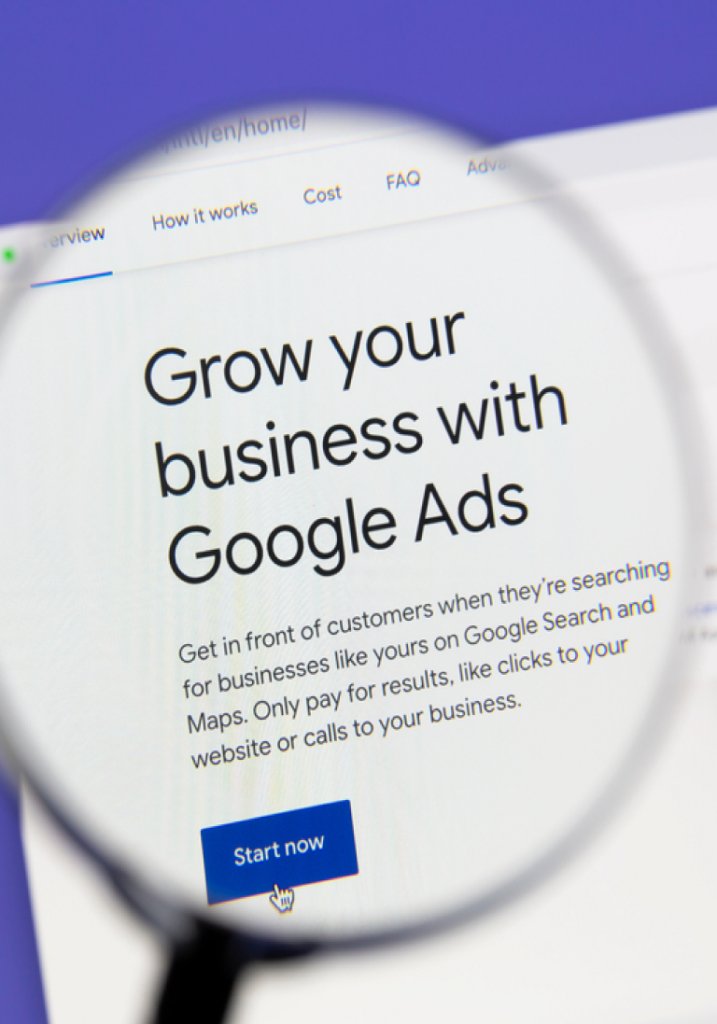 Google Ads Management Services