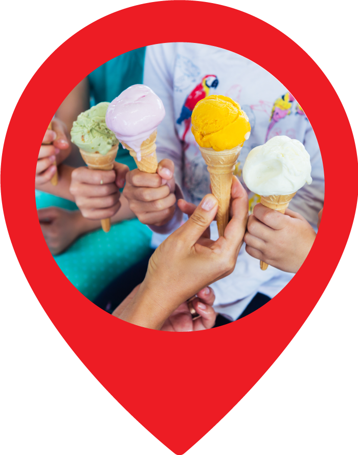 Loyalty Program Software