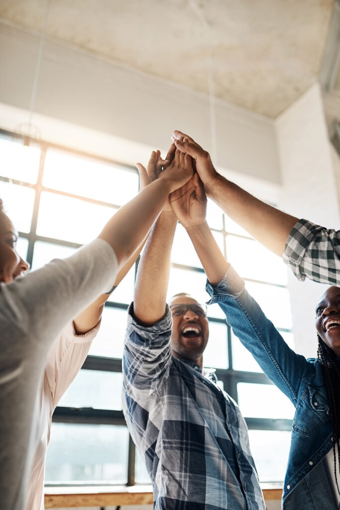 Agency Partner Program