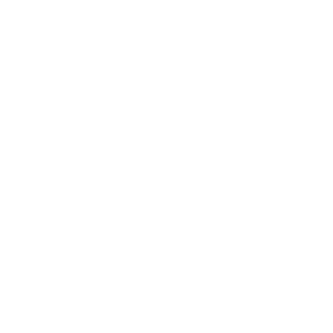 paradox logo