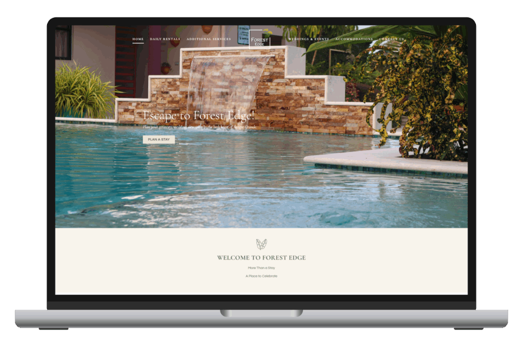 Win A Free Website